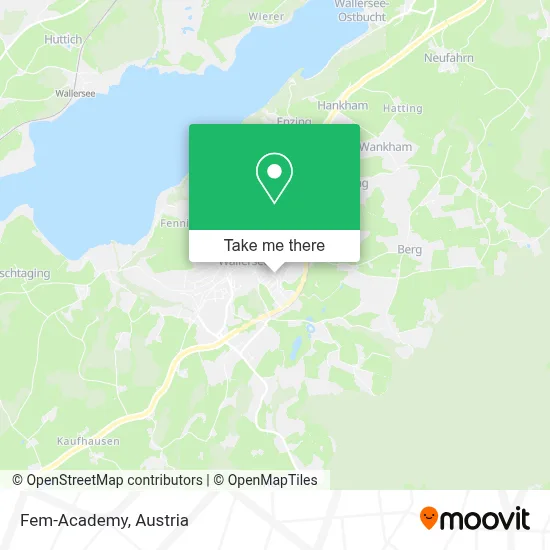 Fem-Academy map