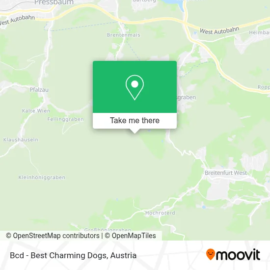 Bcd - Best Charming Dogs map