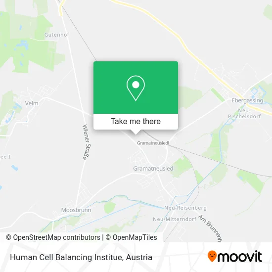 Human Cell Balancing Institue map