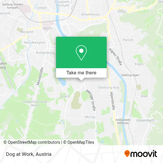 Dog at Work map