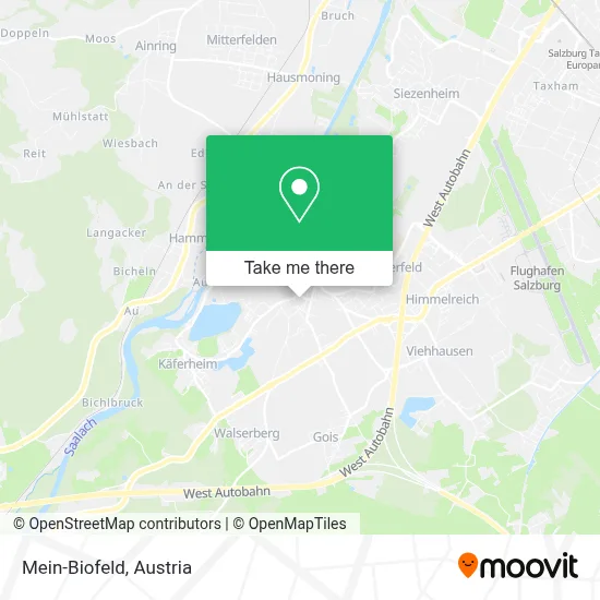 Mein-Biofeld map
