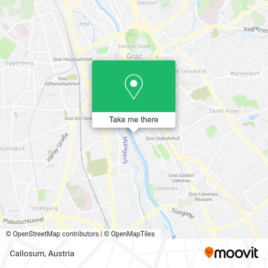 Callosum map