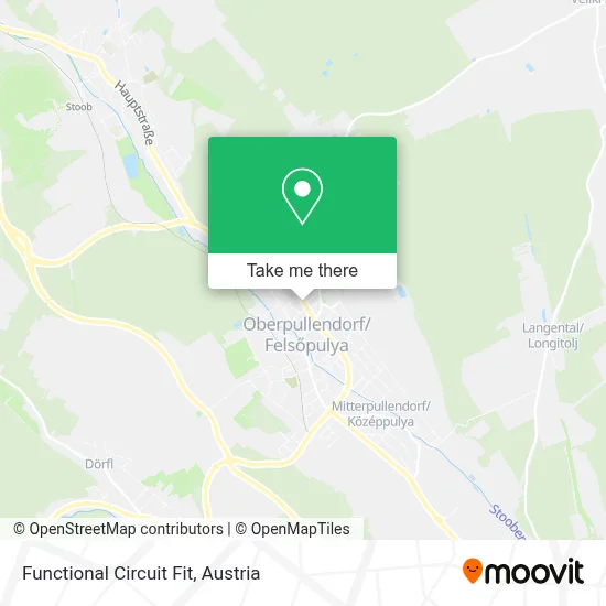 Functional Circuit Fit map