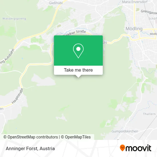 Anninger Forst map