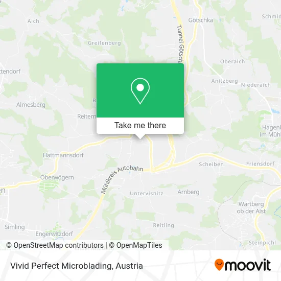 Vivid Perfect Microblading map