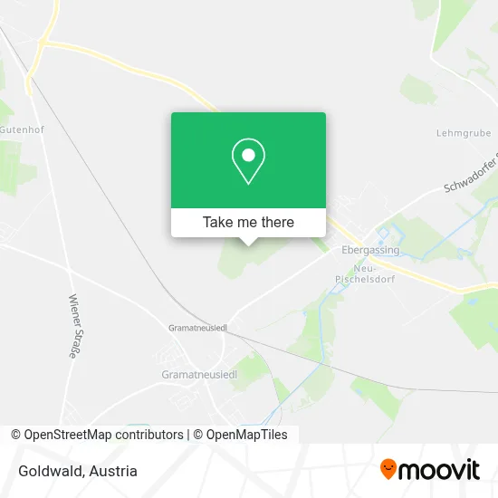 Goldwald map