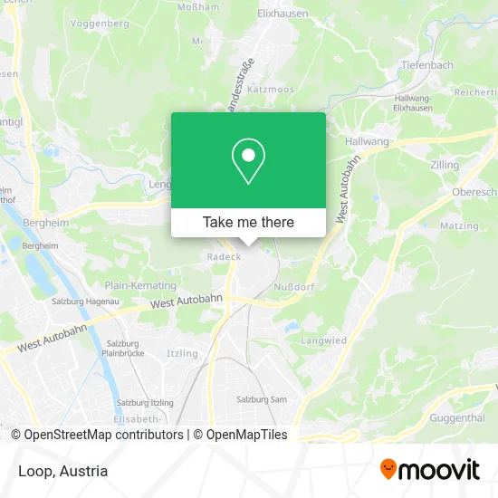 Loop map