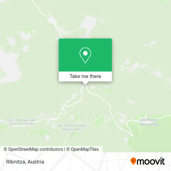 Ribnitza map