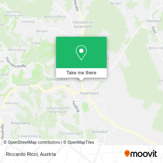 Riccardo Ricci map