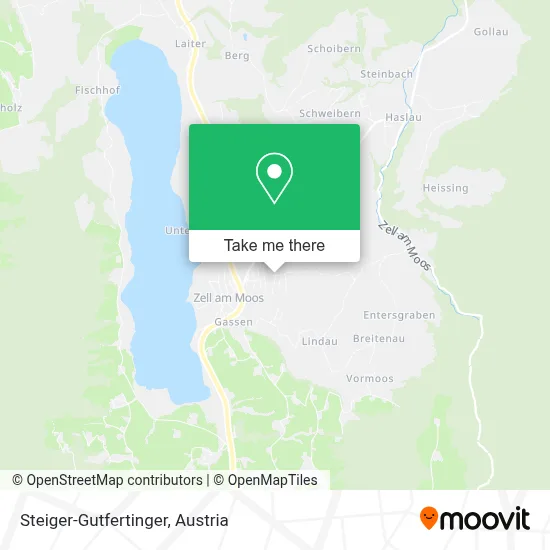 Steiger-Gutfertinger map