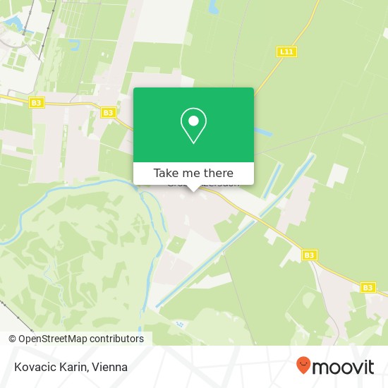 Kovacic Karin map