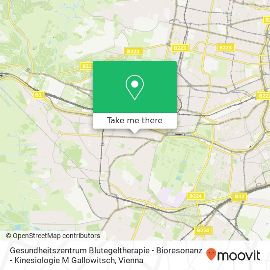 Gesundheitszentrum Blutegeltherapie - Bioresonanz - Kinesiologie M Gallowitsch map