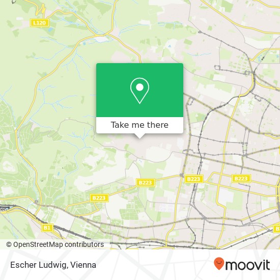 Escher Ludwig map