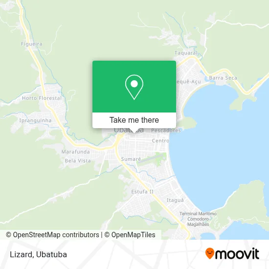 Lizard map
