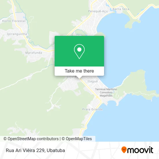 Rua Ari Viêira 229 map
