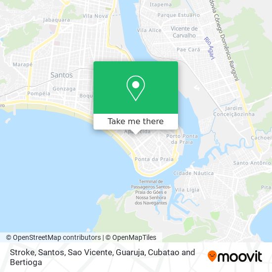 Stroke map