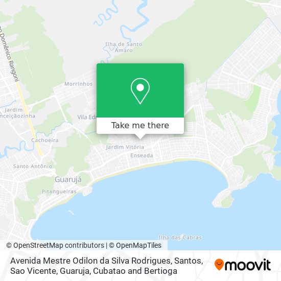 Avenida Mestre Odilon da Silva Rodrigues map