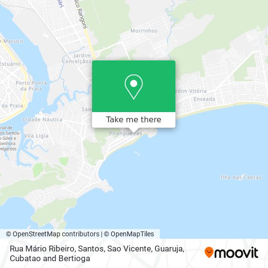 Mapa Rua Mário Ribeiro