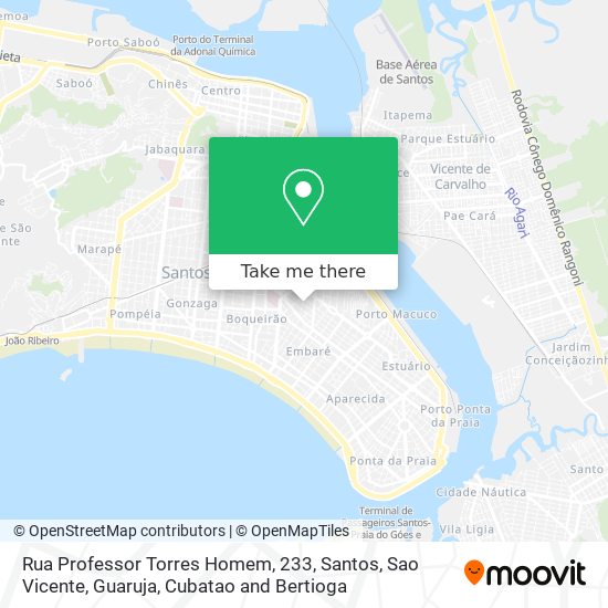 Mapa Rua Professor Torres Homem, 233