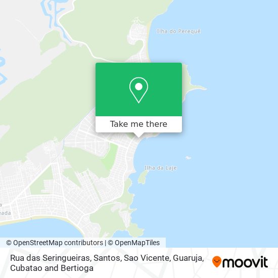 Rua das Seringueiras map