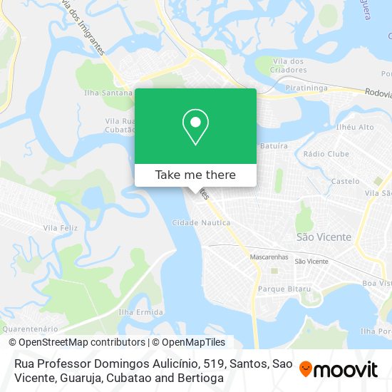 Rua Professor Domingos Aulicínio, 519 map