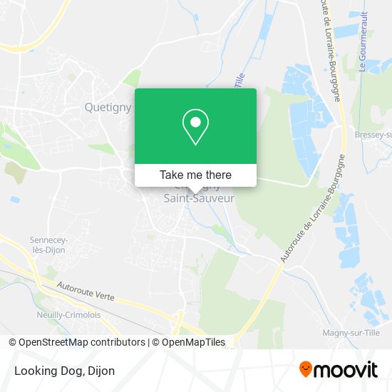 Mapa Looking Dog