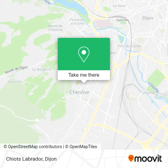 Chiots Labrador map