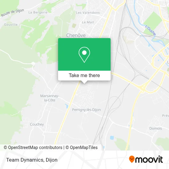 Team Dynamics map