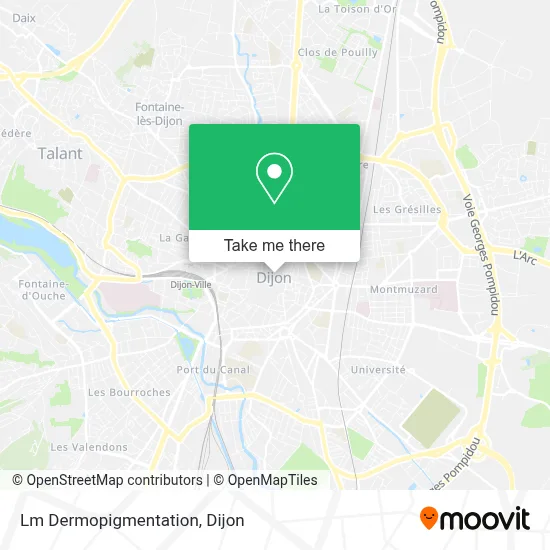 Lm Dermopigmentation map