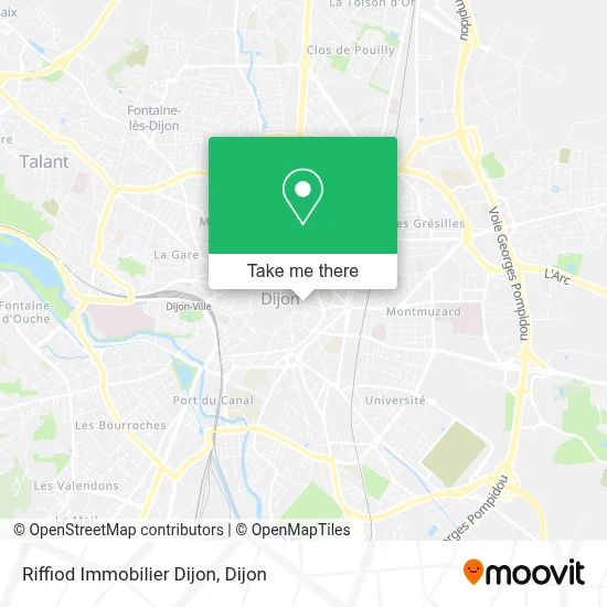 Riffiod Immobilier Dijon map
