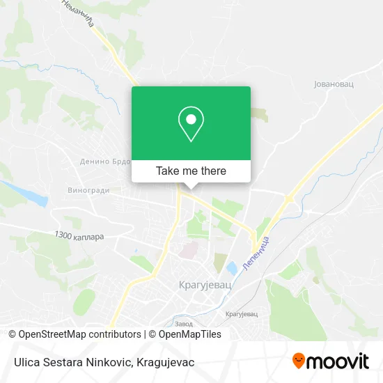 Ulica Sestara Ninkovic map