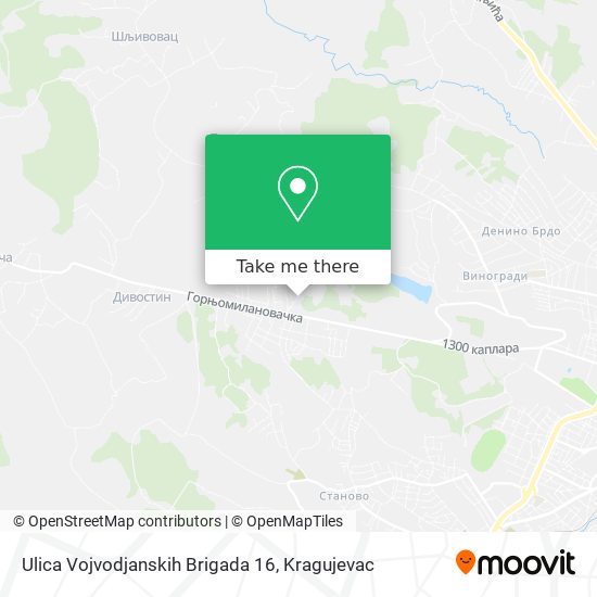 Ulica Vojvodjanskih Brigada 16 map