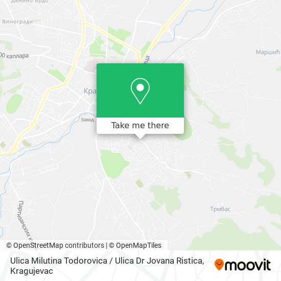 Ulica Milutina Todorovica / Ulica Dr Jovana Ristica map