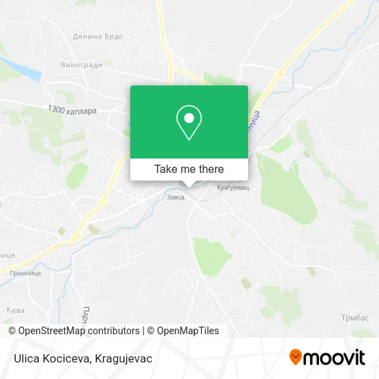 Ulica Kociceva map