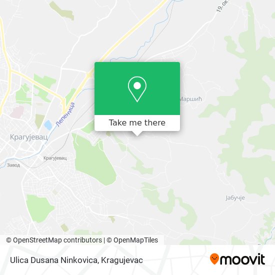 Ulica Dusana Ninkovica map