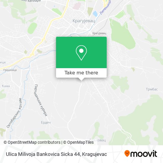 Ulica Milivoja Bankovica Sicka 44 map