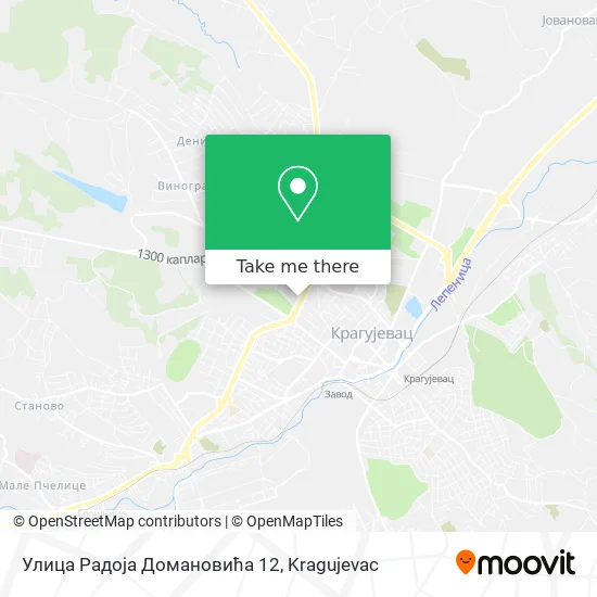 Улица Радоја Домановића 12 map