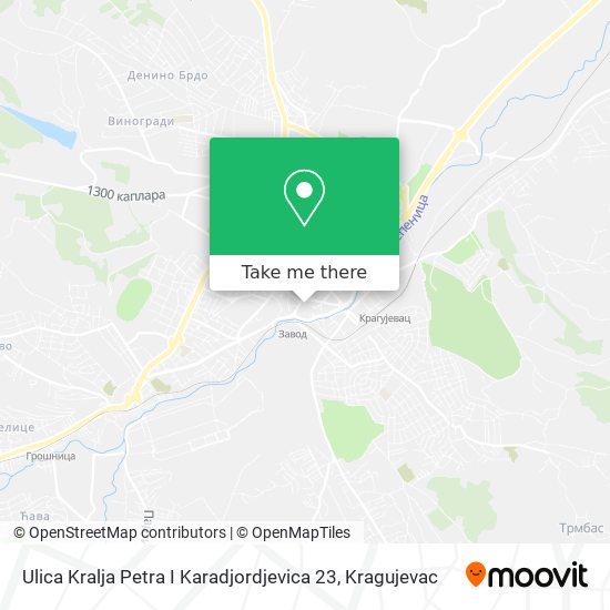 Ulica Kralja Petra I Karadjordjevica 23 map