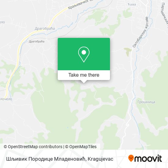Шљивик Породице Младеновић map