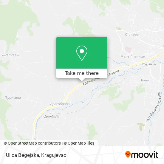 Ulica Begejska map