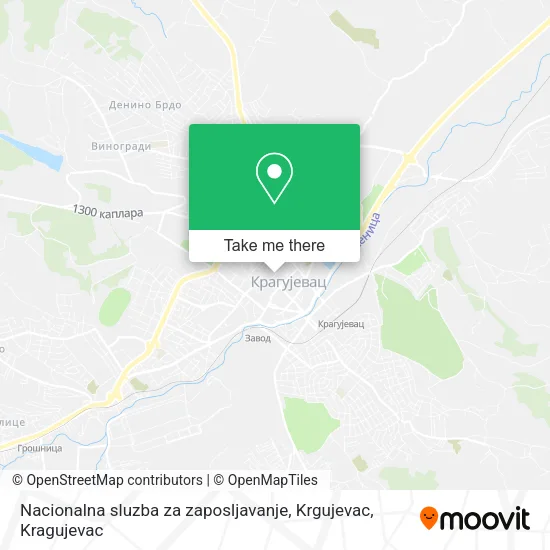 Nacionalna sluzba za zaposljavanje, Krgujevac map