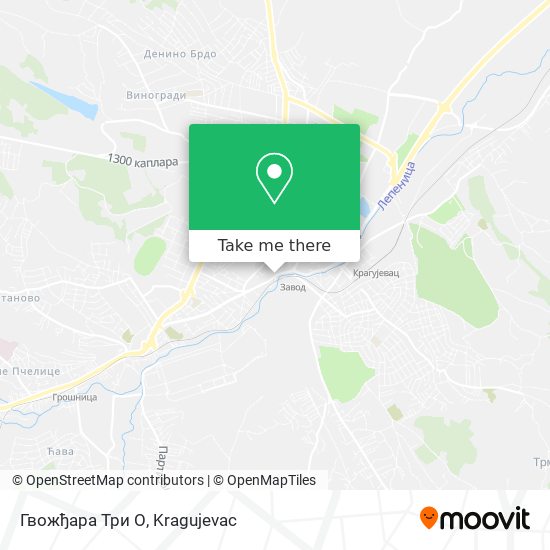 Гвожђара Три О map