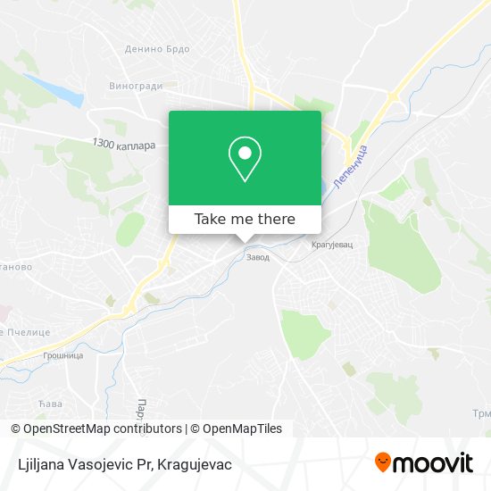 Ljiljana Vasojevic Pr map