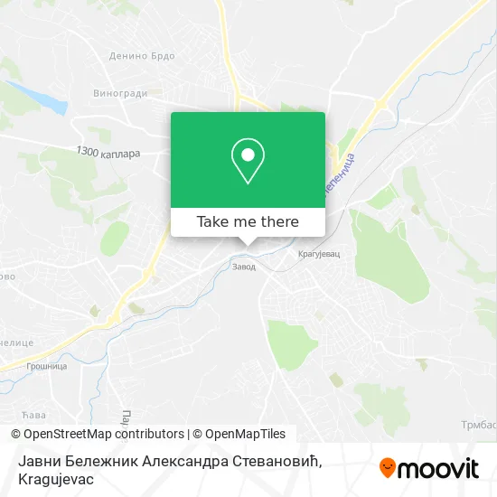 Јавни Бележник Александра Стевановић map