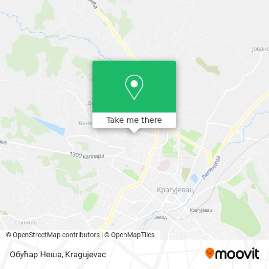 Обућар Неша map