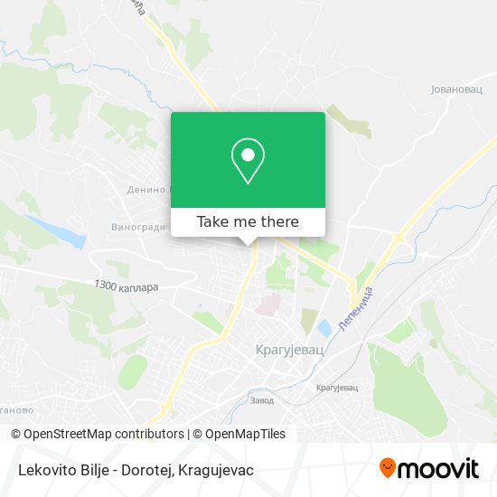 Lekovito Bilje - Dorotej map