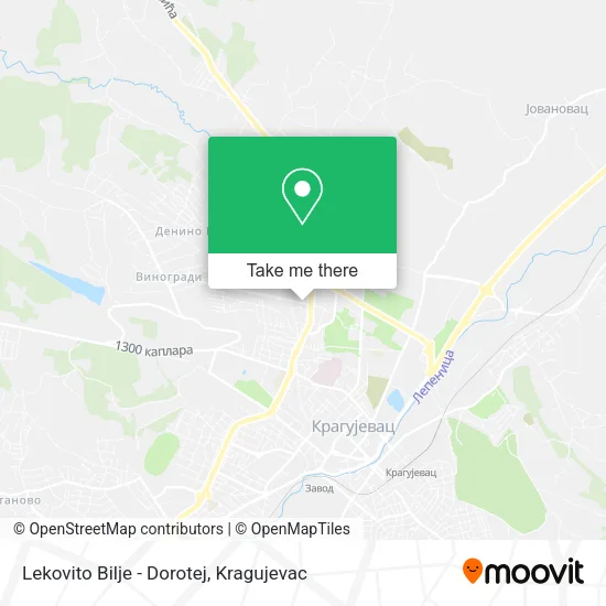 Lekovito Bilje - Dorotej map