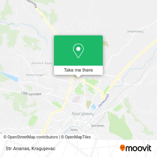 Str Ananas map