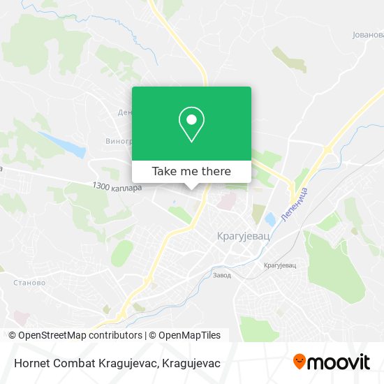 Hornet Combat Kragujevac map