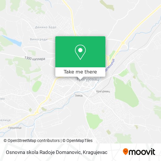 Osnovna skola Radoje Domanovic map